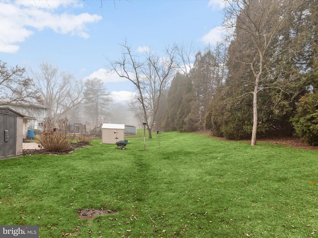 view of yard with a shed