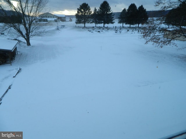 view of yard layered in snow