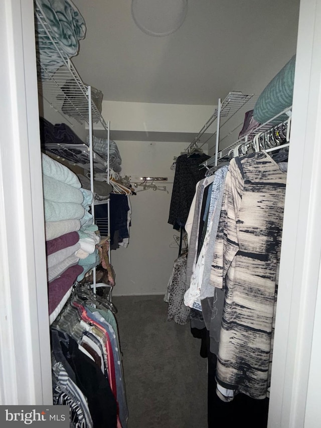 view of walk in closet