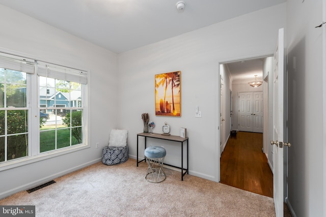 interior space featuring carpet floors