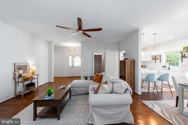 living room featuring ceiling fan, sink, dark hardwood / wood-style floors, and ornamental molding