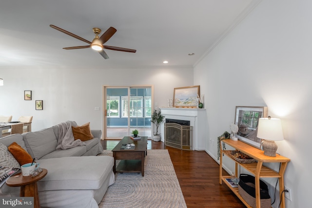 living room with dark hardwood / wood-style floors, ceiling fan, and ornamental molding