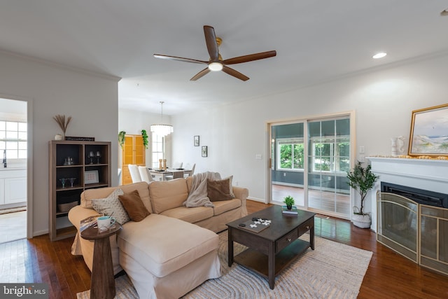 living room featuring dark hardwood / wood-style flooring, ceiling fan, and ornamental molding