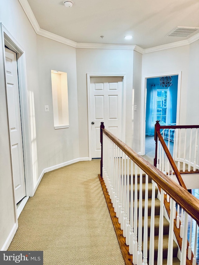 corridor with crown molding and light colored carpet