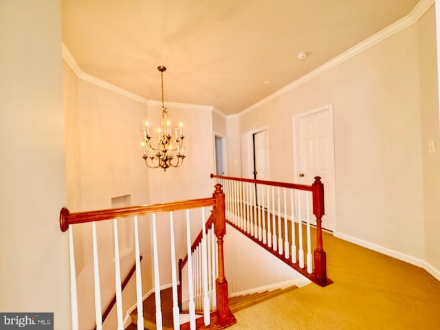 stairs featuring a chandelier, carpet, and crown molding