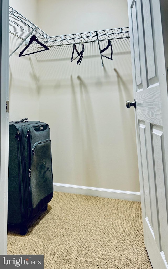 walk in closet featuring light carpet