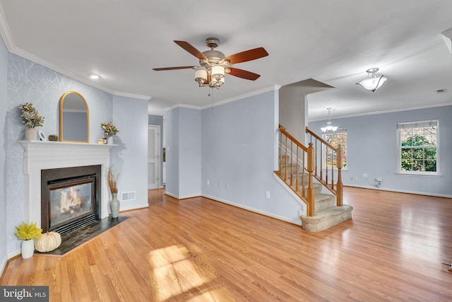 living room with ceiling fan with notable chandelier, light hardwood / wood-style floors, and crown molding