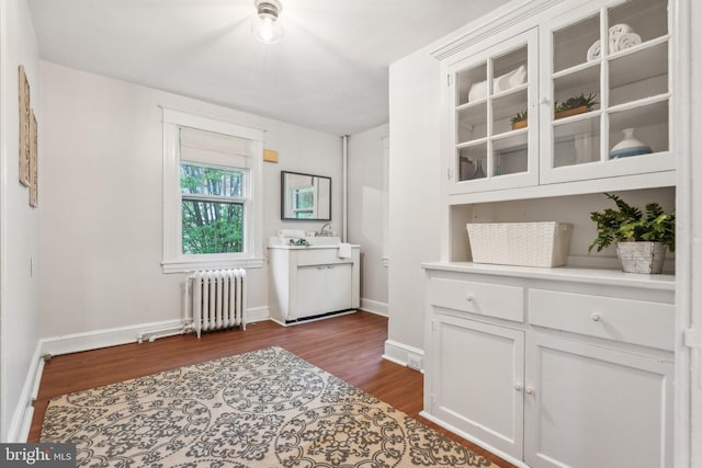 1411 W St, Annapolis, MD 21401 - bar with radiator, dark wood-style floors, baseboards, and a sink