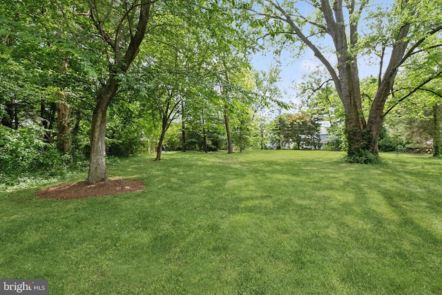 1411 W St, Annapolis, MD 21401 - view of grassy yard