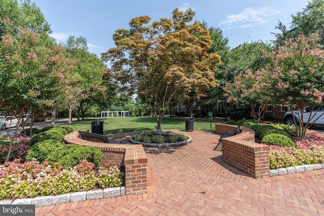 view of property's community with a yard