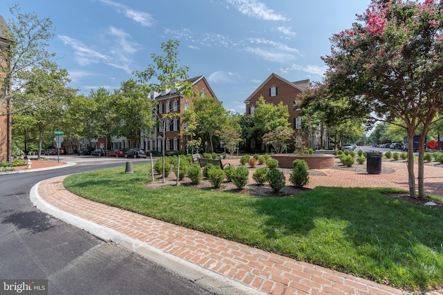 view of community featuring a yard