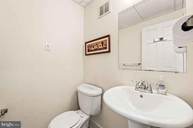 bathroom featuring sink, a drop ceiling, and toilet