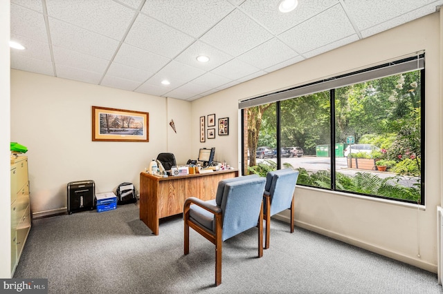 office with carpet and a paneled ceiling