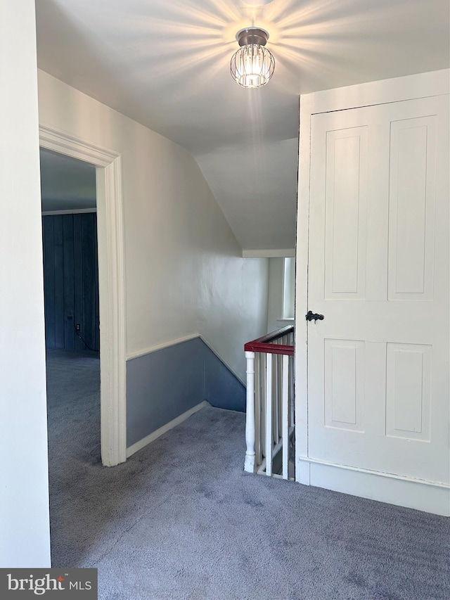 stairs featuring carpet and vaulted ceiling