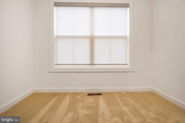 empty room featuring carpet floors