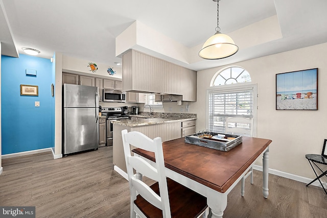 kitchen with gray cabinetry, pendant lighting, a raised ceiling, light wood-type flooring, and appliances with stainless steel finishes