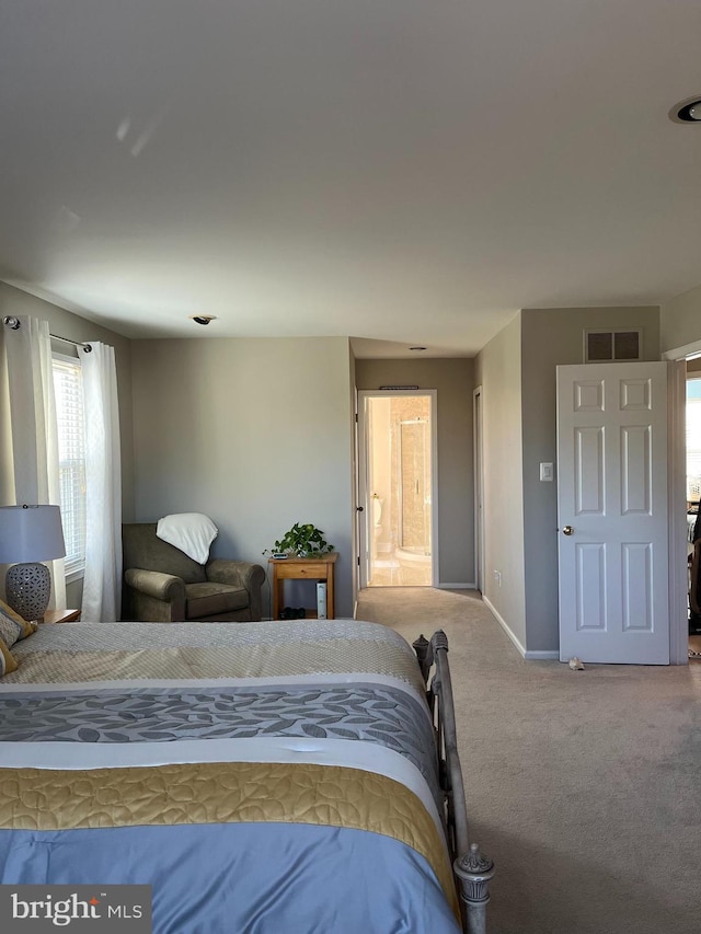 carpeted bedroom with connected bathroom and multiple windows