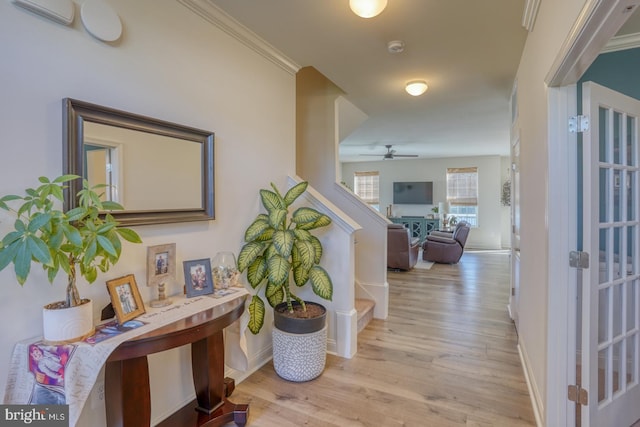 hallway featuring crown molding and light wood-type flooring