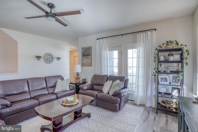 living room with ceiling fan and light wood-type flooring