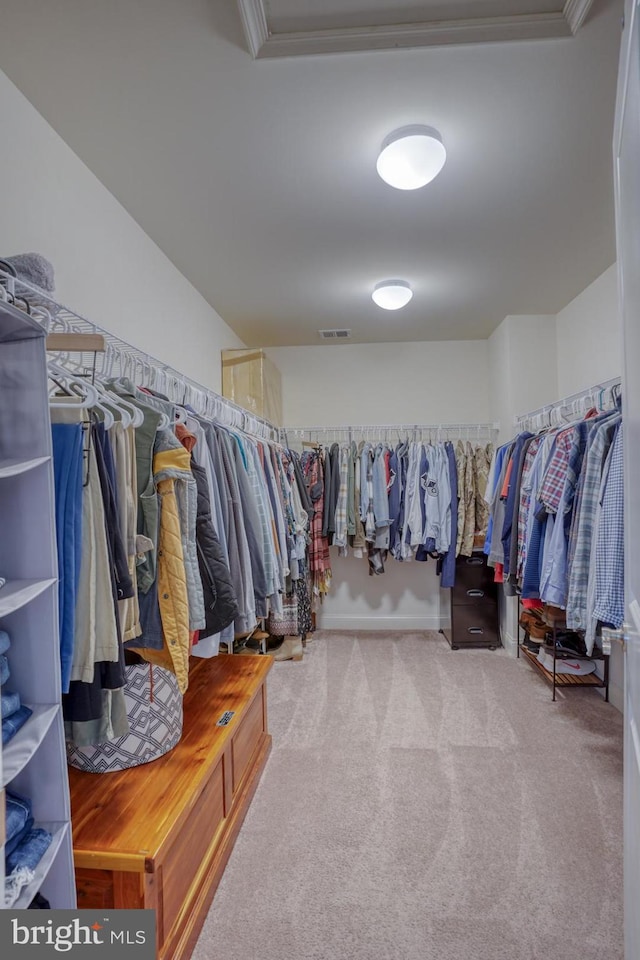 spacious closet featuring carpet