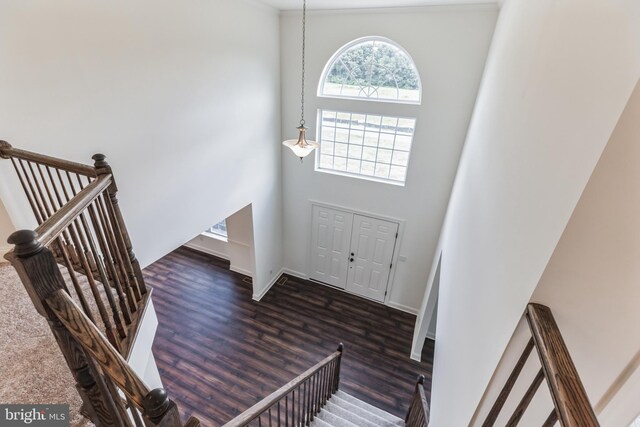 foyer with dark hardwood / wood-style flooring and a towering ceiling