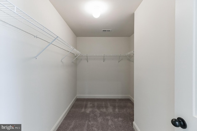 walk in closet with dark colored carpet