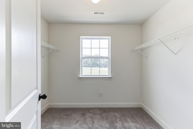 walk in closet featuring carpet