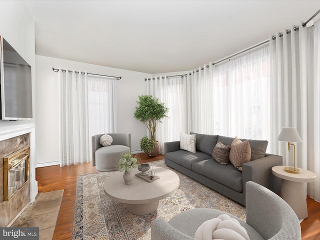 living room with a fireplace and light hardwood / wood-style flooring