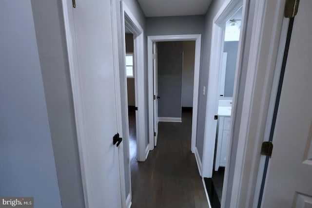 hallway with dark hardwood / wood-style floors