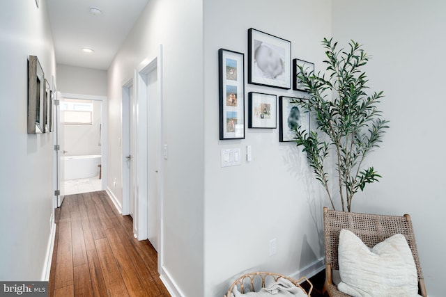 hall with dark wood-type flooring