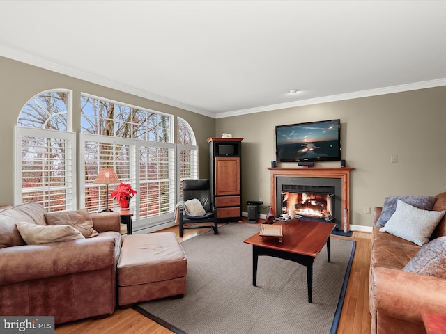 living room featuring hardwood / wood-style floors and crown molding