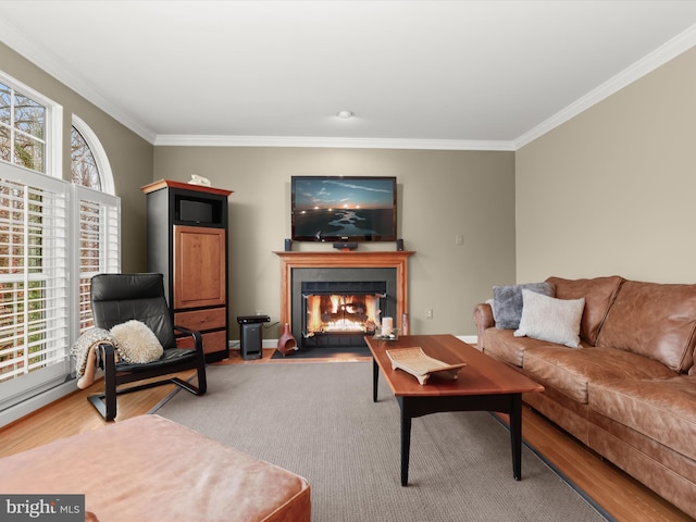 living room with crown molding and hardwood / wood-style flooring