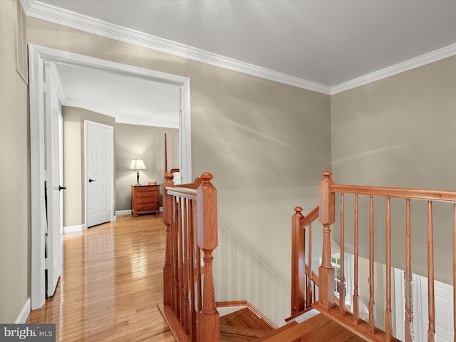 corridor featuring light wood-type flooring and ornamental molding