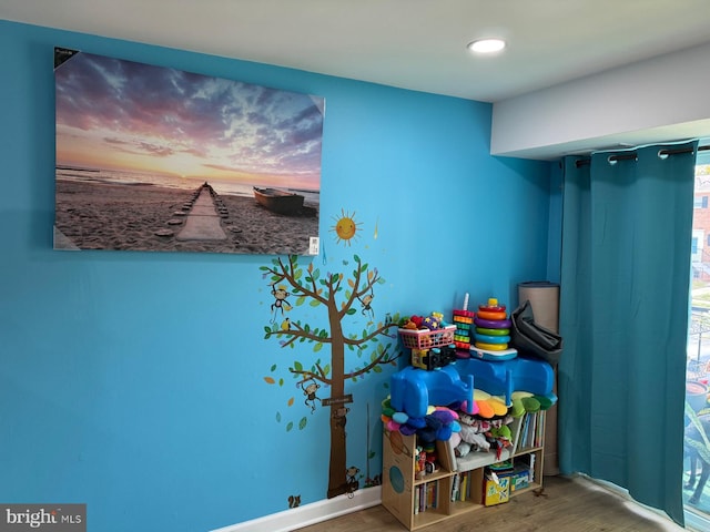 recreation room featuring hardwood / wood-style flooring