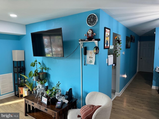 living room featuring wood-type flooring