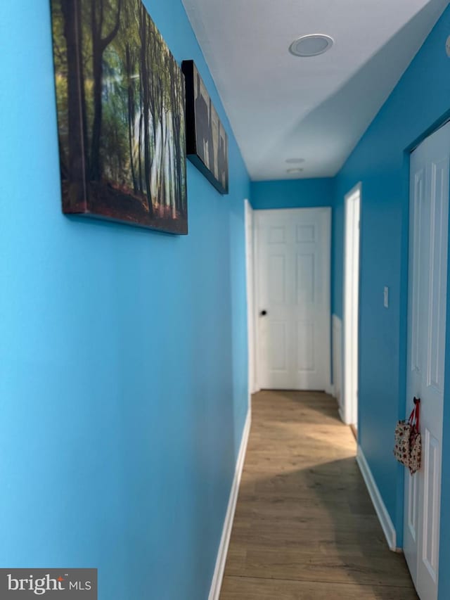 hall featuring wood-type flooring