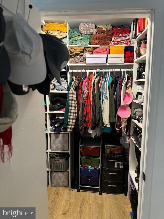 spacious closet with light wood-type flooring