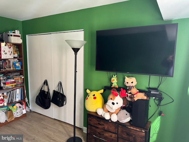 bedroom featuring wood-type flooring