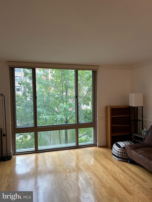 unfurnished living room with light hardwood / wood-style floors and ornamental molding