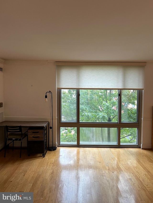 spare room with light wood-type flooring