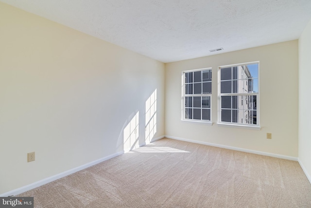 empty room with light colored carpet, a textured ceiling, and a wealth of natural light