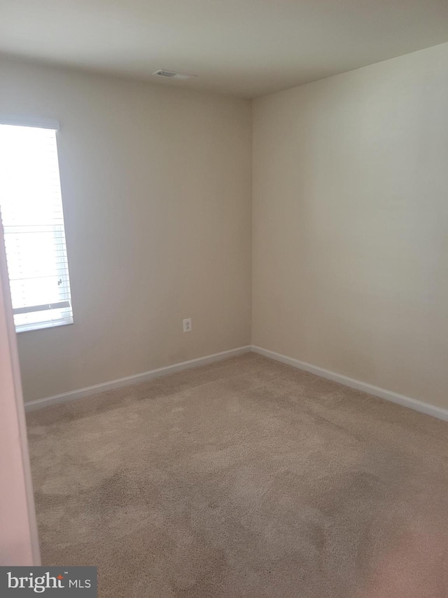 spare room featuring carpet floors