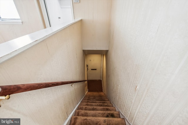 stairs with hardwood / wood-style flooring