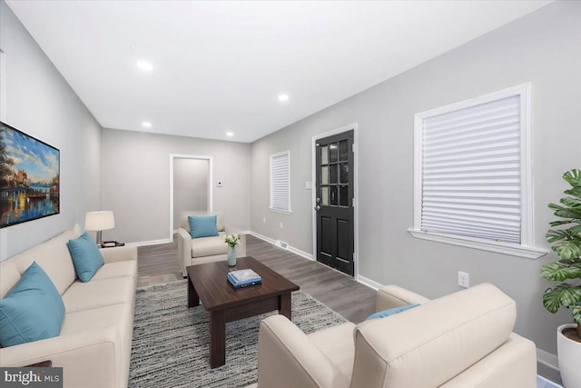 living room featuring hardwood / wood-style flooring