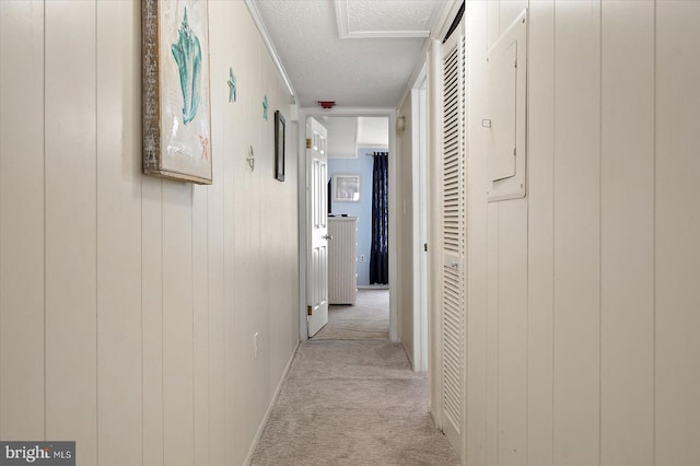 hallway featuring a textured ceiling, light carpet, and wooden walls