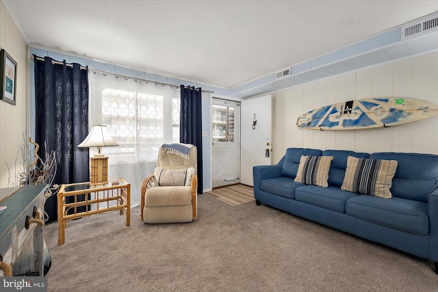 living room featuring carpet flooring and a textured ceiling