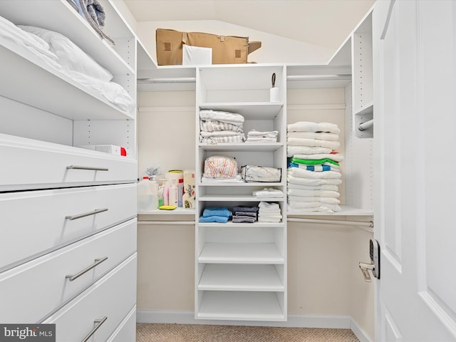 spacious closet with light colored carpet