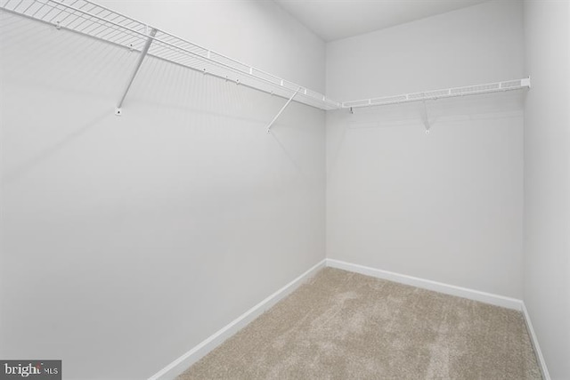 spacious closet featuring light carpet