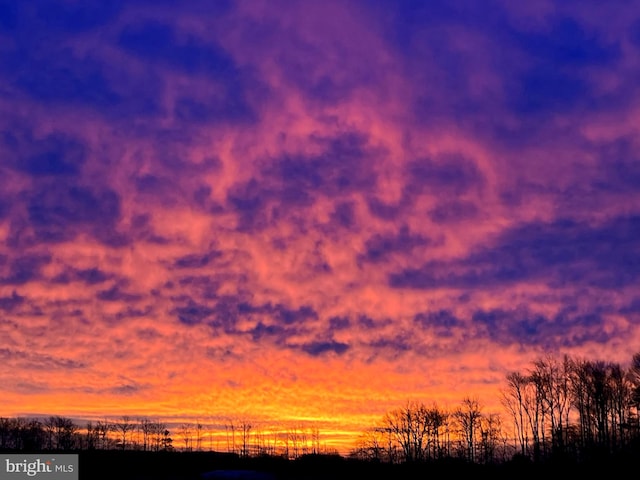 view of nature at dusk