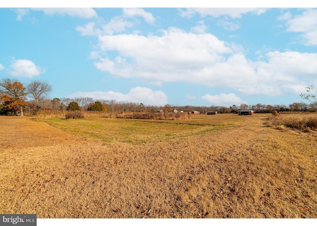 view of yard with a rural view